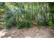 A fenced in backyard featuring a natural landscape of mature trees providing both privacy and shade at 804 Town Side Dr, Apex, NC 27502