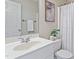 The bathroom features a white single sink vanity, towel rack, large mirror, art, shower curtain, and plant at 1001 Pasture View Ln, Raleigh, NC 27603