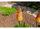 Beautiful landscaping featuring vibrant Red Hot Poker flowers enhancing curb appeal at 101 Cardiff Pl, Chapel Hill, NC 27516