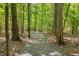 Scenic walking trail surrounded by lush greenery and tall trees, perfect for nature walks at 101 Cardiff Pl, Chapel Hill, NC 27516