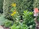 A decorative birdhouse is surrounded by flowering plants and a lush green hedge at 104 San Sophia Dr, Chapel Hill, NC 27514