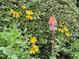 A decorative birdhouse is surrounded by flowering plants and a lush green hedge at 104 San Sophia Dr, Chapel Hill, NC 27514