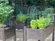 This home has several raised garden beds for growing organic vegetables and herbs at 104 San Sophia Dr, Chapel Hill, NC 27514