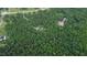 An aerial view of a house nestled in a lush, green, wooded area at 1123 Poplar Forest Ln, Pittsboro, NC 27312