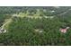 Aerial view of a home surrounded by a lush green forest and neighborhood streets at 1123 Poplar Forest Ln, Pittsboro, NC 27312