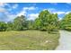 Expansive yard with mature trees and lush greenery, offering ample space and privacy at 1123 Poplar Forest Ln, Pittsboro, NC 27312