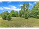 Lush green yard with mature trees, providing a picturesque and tranquil setting at 1123 Poplar Forest Ln, Pittsboro, NC 27312
