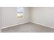 Sunlit bedroom with plush carpeting and large window at 1204 Bridgewater Dr, Durham, NC 27704