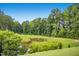 Scenic view of a community pond surrounded by trees at 12309 Aberdeen Chase Way, Durham, NC 27703