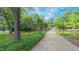 Scenic view of the home from the driveway, showcasing a well-manicured lawn and mature trees at 1815 Hawthorne Ln, Burlington, NC 27215
