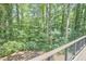 Backyard view highlighting lush greenery and wooded surroundings from the deck at 19 Learned Pl, Durham, NC 27705