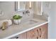 Close-up of a bathroom vanity with quartz countertop, stylish faucet, and decorative succulent at 19 Learned Pl, Durham, NC 27705