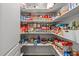 Well-stocked walk-in pantry with organized shelving, offering ample storage for groceries and kitchen essentials at 204 Franconia Way, Apex, NC 27502