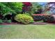Beautiful backyard with a well-manicured lawn and vibrant, colorful landscaping featuring mature trees and shrubs at 218 Kinvara Ct, Wake Forest, NC 27587