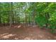 Wooded backyard area featuring a swing set and mature trees, offering a serene and natural play space at 3 White Ash Dr, Durham, NC 27712