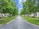 Scenic street lined with lush trees and well-maintained lawns in a peaceful neighborhood at 31 W Madison, Pittsboro, NC 27312