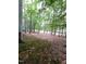 The backyard is private with mature trees and natural landscaping at 3300 Barnsley Ln, Raleigh, NC 27604