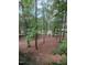 View of wooded backyard through the trees on a quiet street at 3300 Barnsley Ln, Raleigh, NC 27604