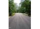 Scenic view of the street leading to the property with lush greenery at 3300 Barnsley Ln, Raleigh, NC 27604
