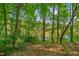 Serene view of the wooded area, offering a sense of privacy and tranquility at 40 Otter Ct, Youngsville, NC 27596