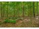 Beautiful wooded yard, providing a private and serene escape at 40 Otter Ct, Youngsville, NC 27596