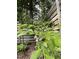Close-up of a blueberry bush in a landscaped backyard with a privacy fence at 517 Bart St, Raleigh, NC 27610