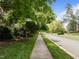 Street view showcasing the sidewalk and road surrounded by lush greenery and mature trees at 705 Harkness Cir, Durham, NC 27705