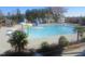Community swimming pool with zero entry, waterslide, lap lanes, and palm trees at 732 Suffield Way, Cary, NC 27519
