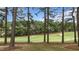Beautiful view of the golf course surrounded by tall pine trees and lush greenery at 763 Heritage Arbor Dr, Wake Forest, NC 27587
