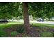 Front yard landscaped with a mature tree, complemented by a lush green lawn at 907 Stuart Dr, Mebane, NC 27302