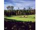 Expansive view of the golf course, surrounded by mature trees at 100 Emory Bluffs Dr, Holly Springs, NC 27540