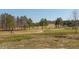 Scenic golf course with lush green fairways and mature trees at 100 Emory Bluffs Dr, Holly Springs, NC 27540