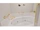 Large soaking tub featuring brass fixtures and accessibility grab bars at 104 Cedar Ridge Way, Durham, NC 27705