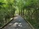 Scenic wooded walking trail that winds through the lush community at 1325 Mackinaw Dr, Wake Forest, NC 27587