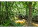 Scenic view of a tranquil creek surrounded by lush greenery, enhancing the property's natural beauty at 1713 Elder Ct, Burlington, NC 27215