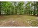 Expansive backyard with lush trees, offering ample space and a tranquil outdoor environment at 313 Teresa Dr, Rolesville, NC 27571
