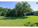 Lush, green backyard with a large shade tree and manicured lawn, perfect for outdoor activities at 5013 Wheatridge Dr, Fuquay Varina, NC 27526