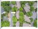 Aerial view of the home nestled in a residential neighborhood among lush greenery at 805 N Columbia St, Chapel Hill, NC 27516