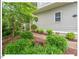 Landscaped front yard featuring lush greenery and a walkway to the front door at 805 N Columbia St, Chapel Hill, NC 27516