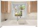 Bright kitchen sink with updated faucet fixtures overlooking the back yard at 805 N Columbia St, Chapel Hill, NC 27516