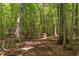 Wooded path winding through the trees at 1909 Ira Rd, Efland, NC 27243