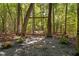 A charming tree swing suspended between trees, creating a relaxing outdoor space at 1909 Ira Rd, Efland, NC 27243