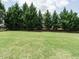Spacious backyard features a lush lawn and mature trees, offering privacy and a serene setting at 3021 Lawson Walk Way, Rolesville, NC 27571