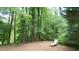 Secluded backyard retreat with mature trees and charming features such as bench and lounge chair at 304 Ramblewood Dr, Raleigh, NC 27609