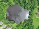 Aerial view of a serene pond surrounded by trees and lush greenery at 3101 Sawyers Mill Dr, Apex, NC 27539