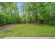 A serene backyard with lush greenery, mature trees, and a well-maintained lawn at 518 Emerald Downs Rd, Cary, NC 27519