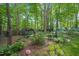 Lush backyard with mature trees, garden beds, decorative mushroom art, and a storage shed at 5523 Newberry Dr, Raleigh, NC 27609
