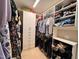 Organized walk-in closet with built-in shelving, drawers and ample hanging space for clothes and accessories at 1005 Lathrop Ln, Apex, NC 27523