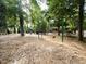 Community playground with swings, slides, and play structures, perfect for outdoor fun and recreation at 1016 Goldmist Ln, Durham, NC 27713