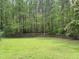 Large backyard area features green grass and a wooden fence bordering a lush treeline at 105 Perry Ln, Zebulon, NC 27597